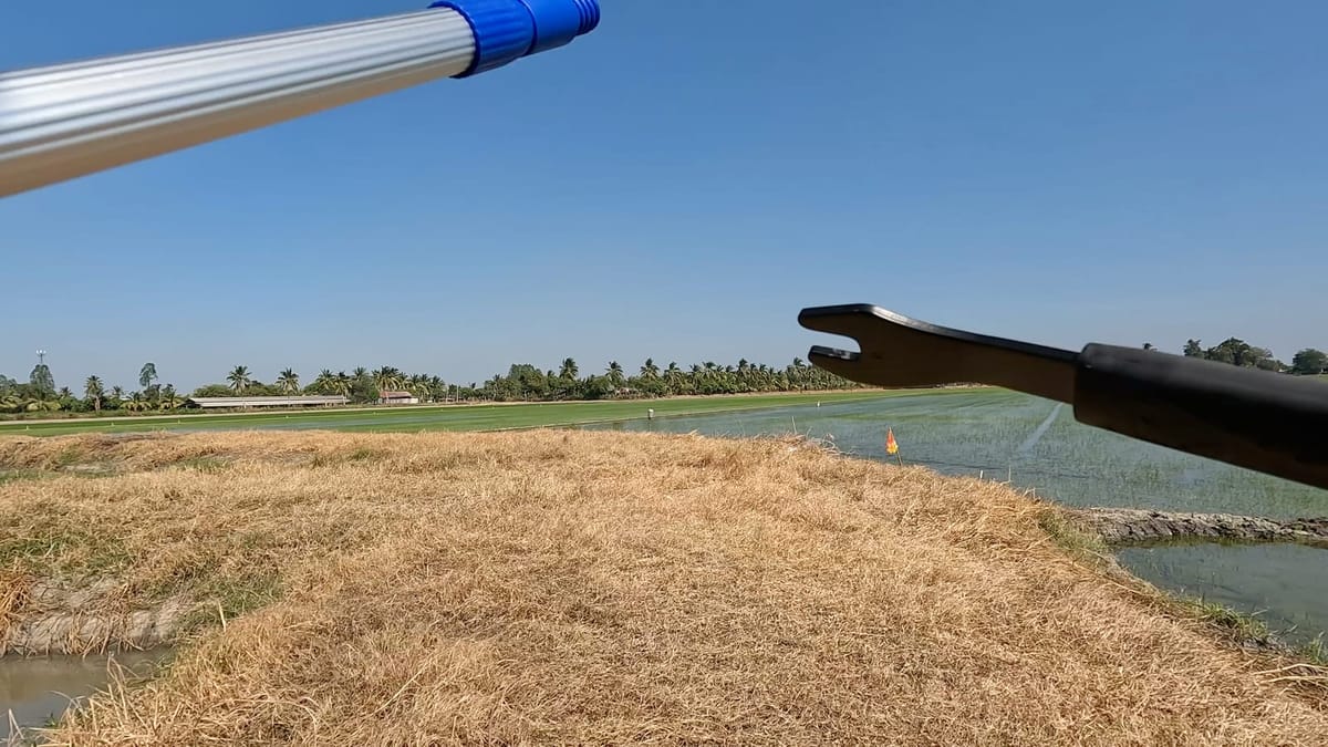 살기 위해선 헬멧을 깡깡 내리쳐야한다: 태국 시골길의 생존 법칙