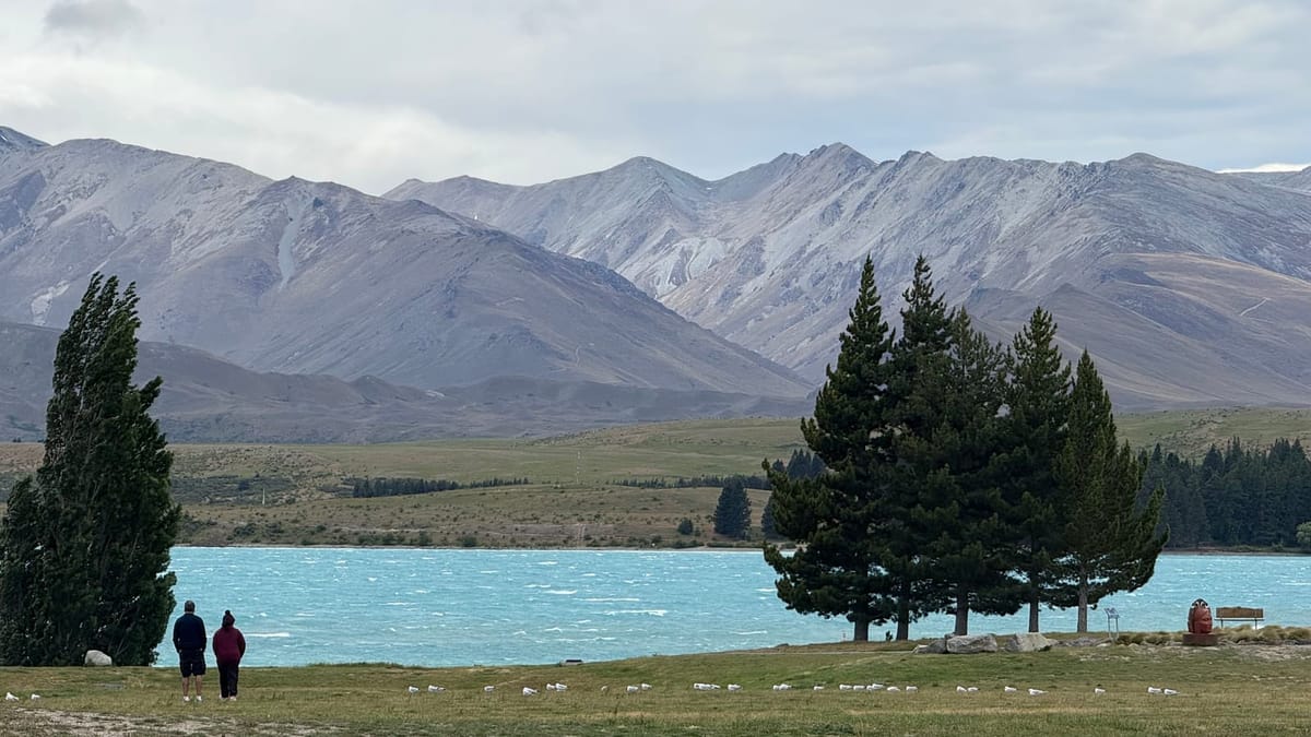 누가 내 헬리녹스 의자 훔쳐갔어