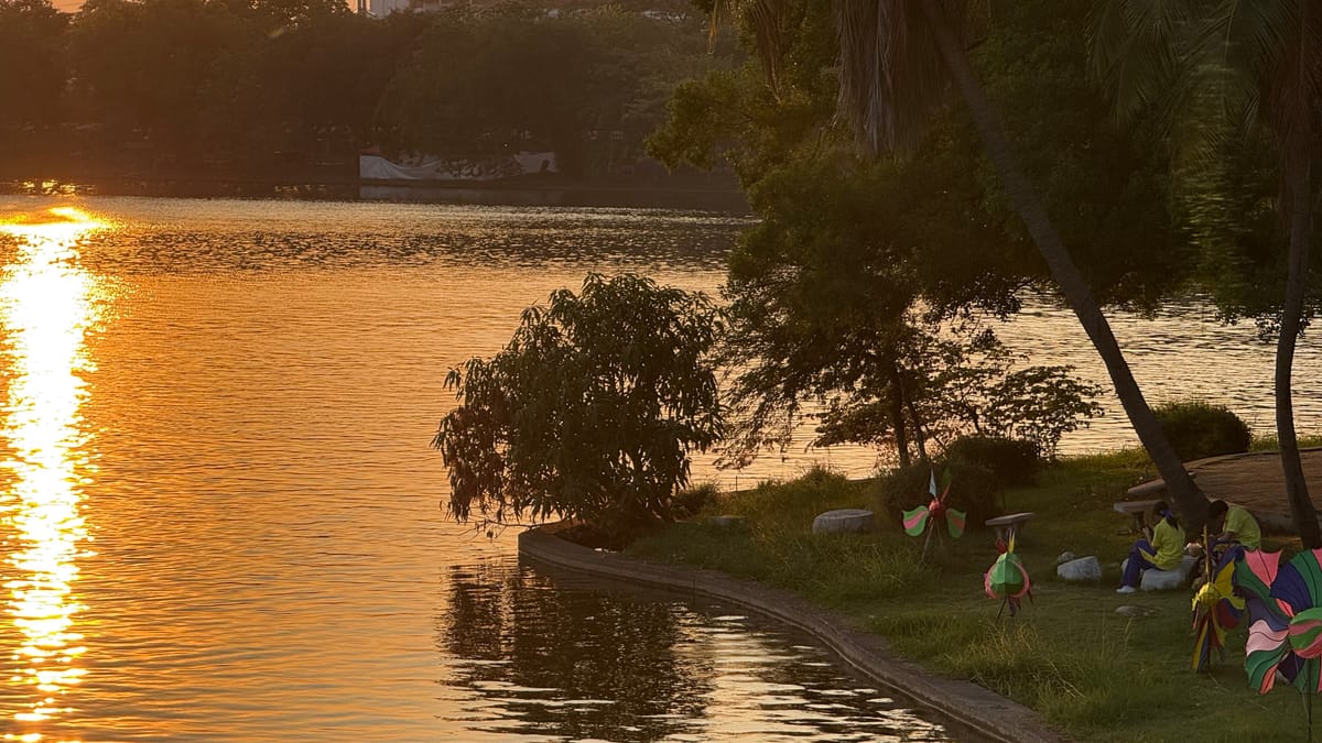 포멜로 3배 가격의 법칙: 이방인이 치르는 낭만세