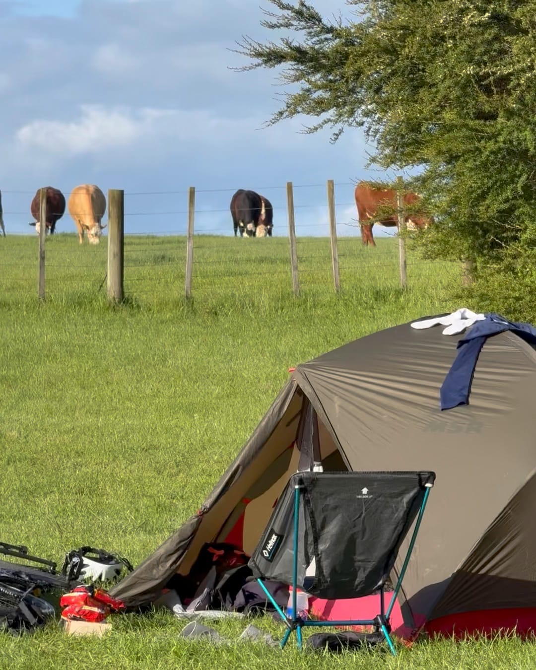 40km를 달렸는데 다시 출발점이라니