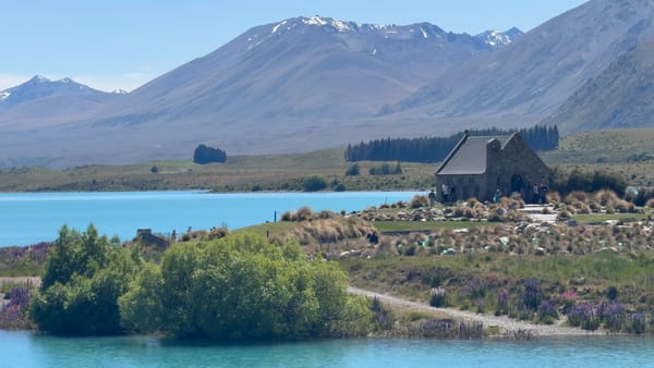 이런 풍경을 살다가 보네: 테카포와 푸카키 호수