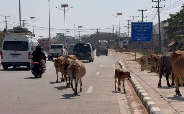 라오스에서는 마약을 약국에서 살 수 있다고?