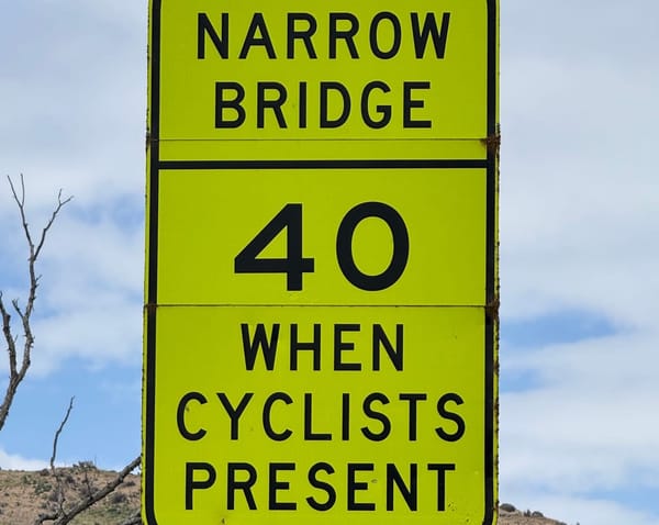 카레이싱 대회를 뚫고 5시 약속을 지키러 가는 자전거 여행자