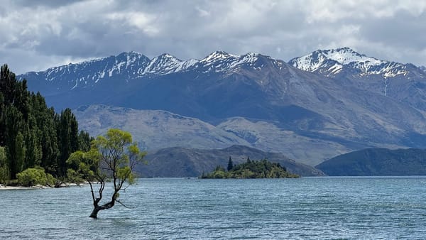 방랑하는 모든 이가 길을 잃은 것은 아니다 (Not All who wander are lost.)