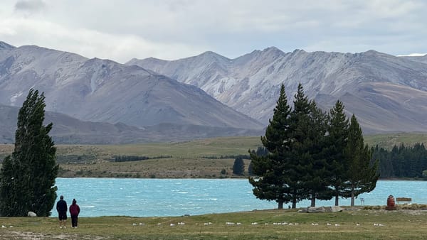 누가 내 헬리녹스 의자 훔쳐갔어