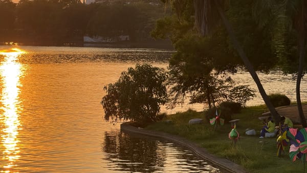 포멜로 3배 가격의 법칙: 이방인이 치르는 낭만세
