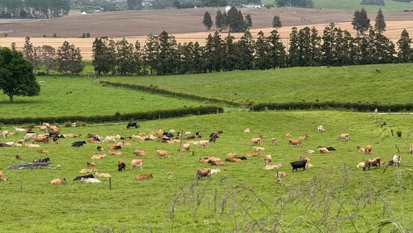 102km를 달린 후에 들은 말 "예약 꽉 찼으니 돌아가세요(!?)"